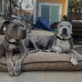 Room for rent in Camarillo #9