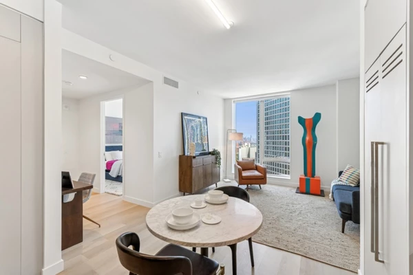 1 bedroom apartment for rent in Downtown Brooklyn - Brooklyn, New York