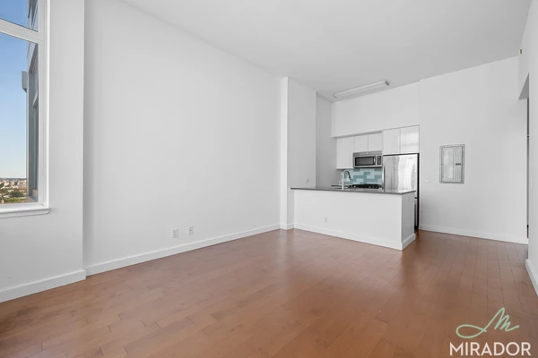 2 bedrooms apartment for rent in Fort Greene - Brooklyn, New York