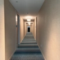 Room for rent in West Hollywood #19