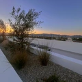 Room for rent in West Hollywood #21