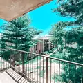 Room for rent in Alexandria #9