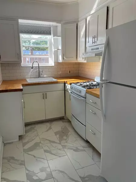 1 bedroom apartment for rent in Flatbush Ditmas Park - Brooklyn, New York