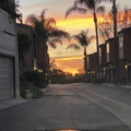 Room for rent in Carlsbad #14