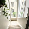 Room for rent in Carlsbad #12