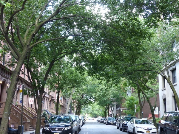 Studio Apartment for rent in Upper West Side - Manhattan, New York