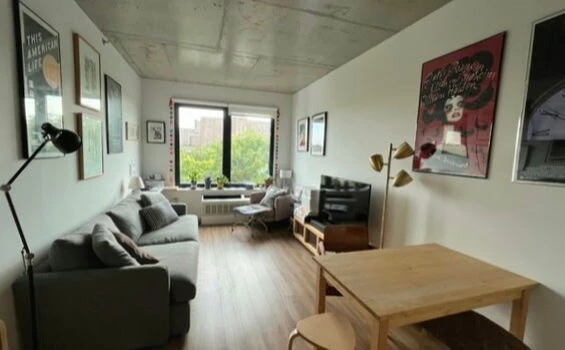 1 bedroom apartment for rent in Williamsburg - Brooklyn, New York