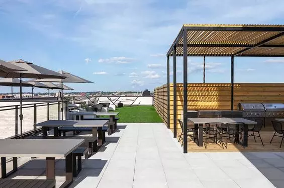 1 bedroom apartment for rent in Williamsburg - Brooklyn, New York