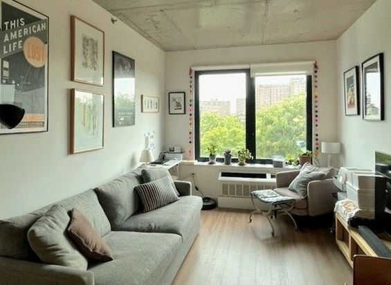 1 bedroom apartment for rent in Williamsburg - Brooklyn, New York
