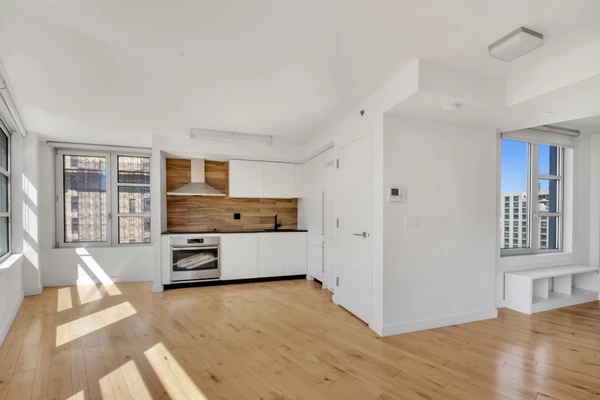1 bedroom apartment for rent in Downtown Brooklyn - Brooklyn, New York