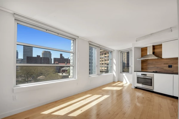 1 bedroom apartment for rent in Downtown Brooklyn - Brooklyn, New York