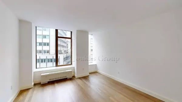 1 bedroom apartment for rent in FiDi - Manhattan, New York