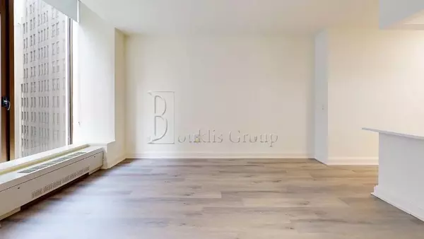 1 bedroom apartment for rent in FiDi - Manhattan, New York