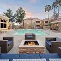 Room for rent in Chandler #6