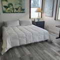 Room for rent in Weston #1