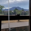 Room for rent in Boulder #16