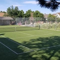 Room for rent in Boulder #22