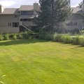 Room for rent in Boulder #24