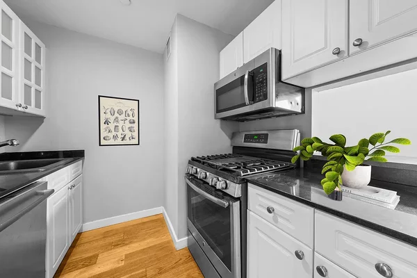 2 bedrooms apartment for rent in FiDi - Manhattan, New York