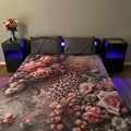 Room for rent in Forest Hills Dallas #2