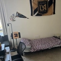 Room for rent in Hollywood #1