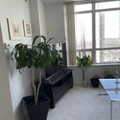 Room for rent in North Toronto #6