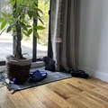 Room for rent in Bushwick #2