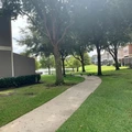 Room for rent in Kissimmee #1