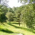 Room for rent in Chester PA #3
