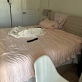 Room for rent in Hollywood #7