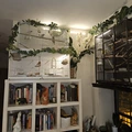 Room for rent in Harlem #8