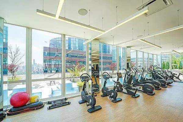 1 bedroom apartment for rent in FiDi - Manhattan, New York