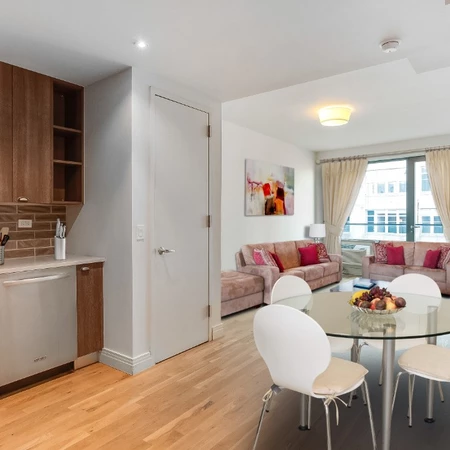 1 bedroom apartment for rent in Williamsburg - Brooklyn, New York