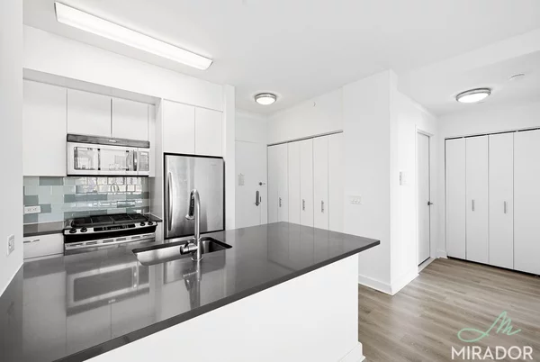 1 bedroom apartment for rent in Fort Greene - Brooklyn, New York