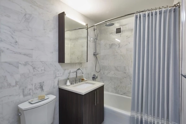 1 bedroom apartment for rent in LIC - Queens, New York