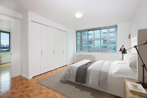 1 bedroom apartment for rent in LIC - Queens, New York