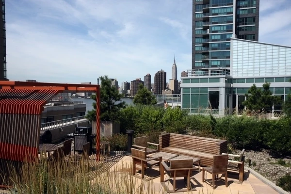1 bedroom apartment for rent in LIC - Queens, New York