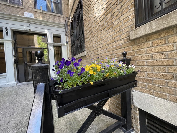 4 bedrooms apartment for rent in Harlem - Manhattan, New York