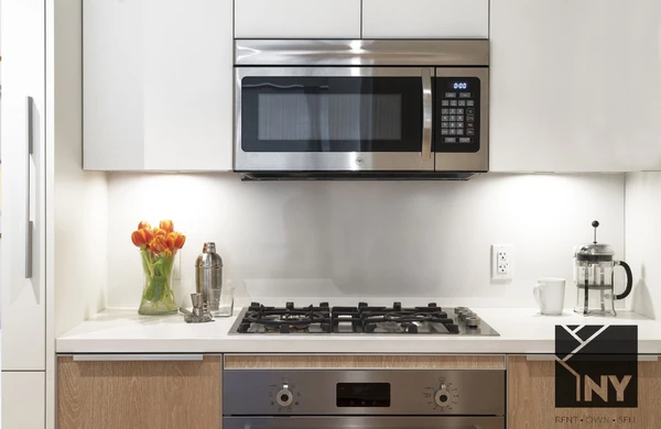 2 bedrooms apartment for rent in FiDi - Manhattan, New York