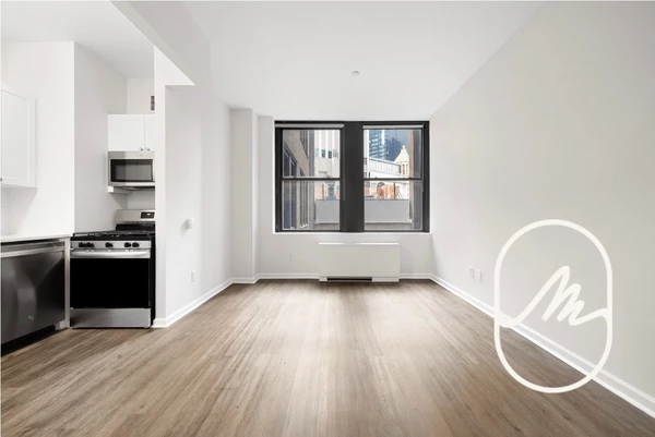 Studio Apartment for rent in FiDi - Manhattan, New York