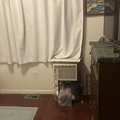 Room for rent in Staten Island #2