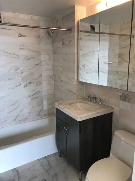 1 bedroom apartment for rent in Downtown Brooklyn - Brooklyn, New York