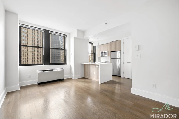 Studio Apartment for rent in FiDi - Manhattan, New York