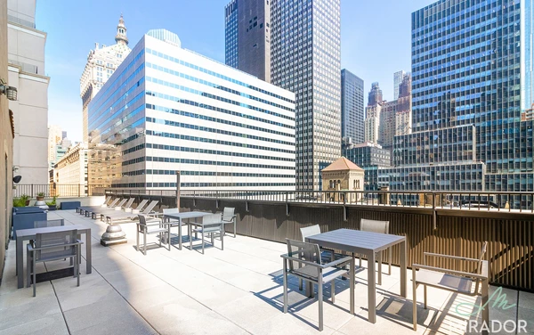 1 bedroom apartment for rent in Midtown East - Manhattan, New York