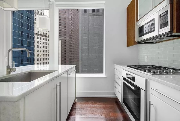 1 bedroom apartment for rent in FiDi - Manhattan, New York