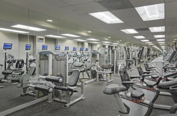 1 bedroom apartment for rent in Tribeca - Manhattan, New York