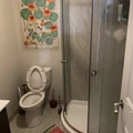 Room for rent in Old Ottawa South #5