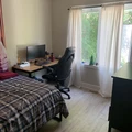 Room for rent in Old Ottawa South #2