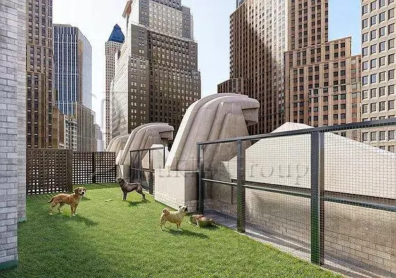 1 bedroom apartment for rent in FiDi - Manhattan, New York