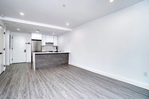 1 bedroom apartment for rent in LIC - Queens, New York